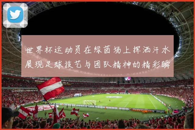 世界杯运动员在绿茵场上挥洒汗水展现足球技艺与团队精神的精彩瞬间